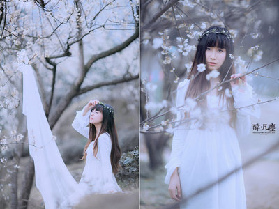 醉·凡尘 镜头下的人间烟火